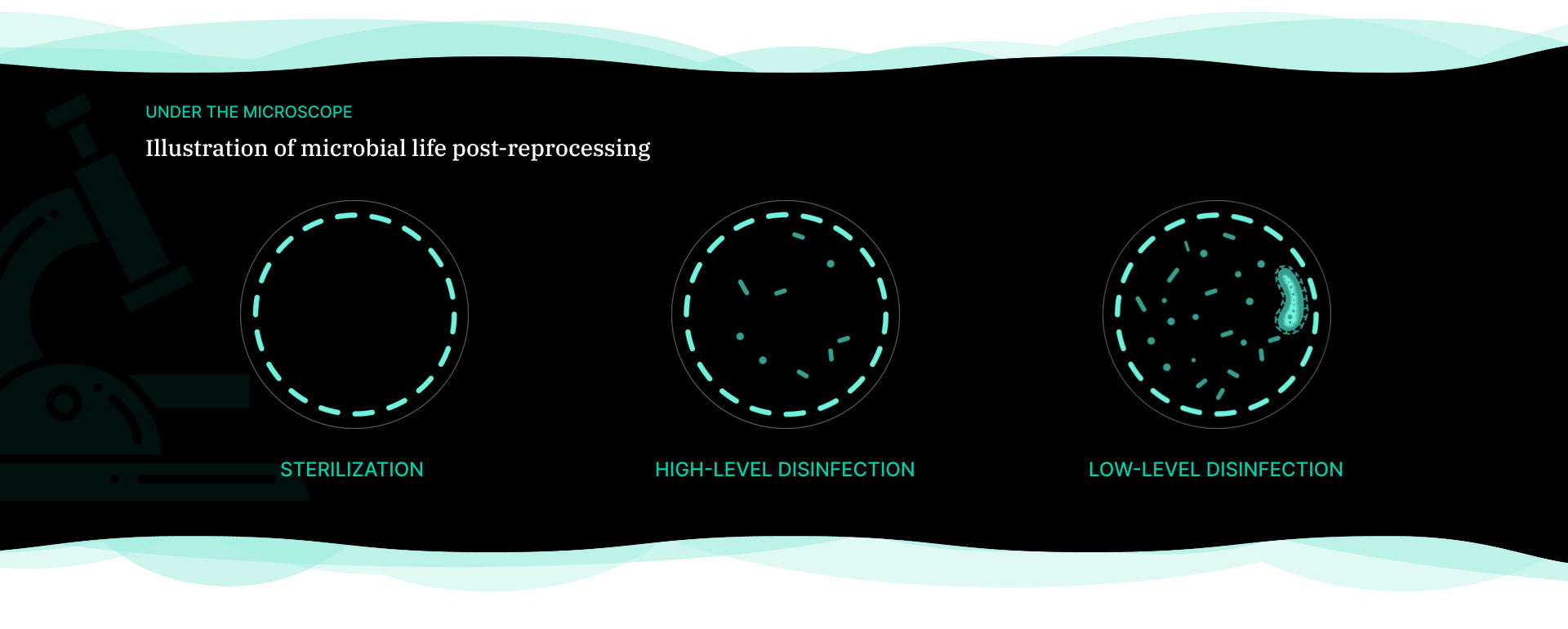 Illustration of microbial life post-reprocessing